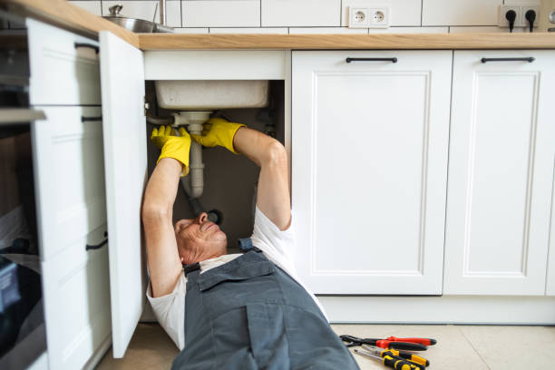 Best Sprinkler Systems  in Rosedale, MD